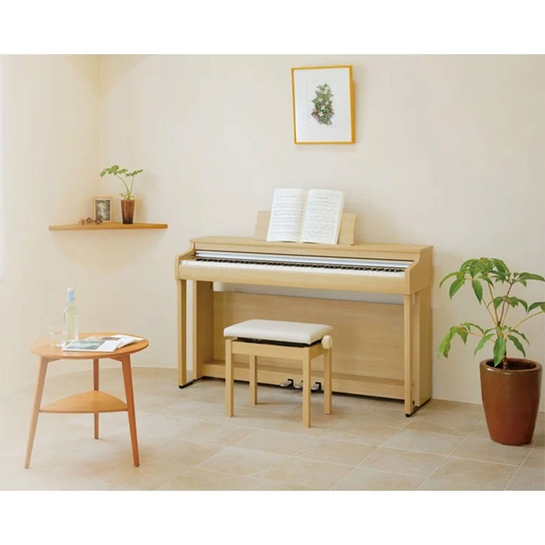 Đàn Piano Điện Kawai CN27LO