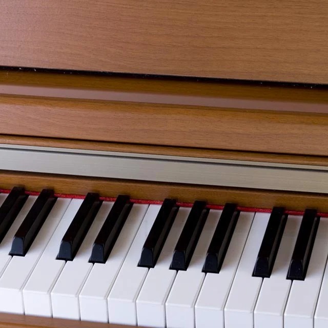 Đàn Piano Điện Kawai PN2
