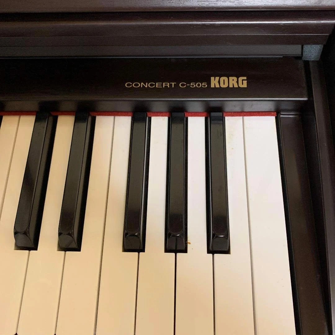Korg C505