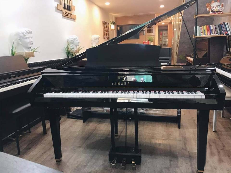 Yamaha DGP-7