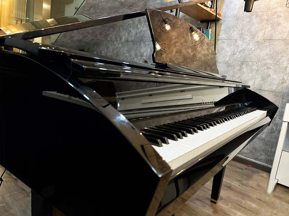 Yamaha DGP-7
