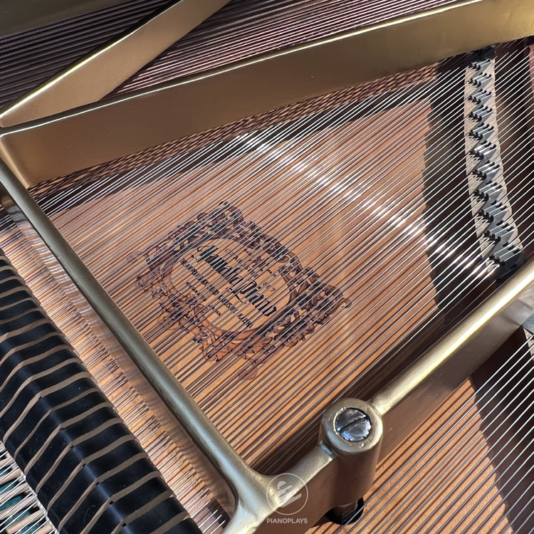 Yamaha G5 (Mahogany)