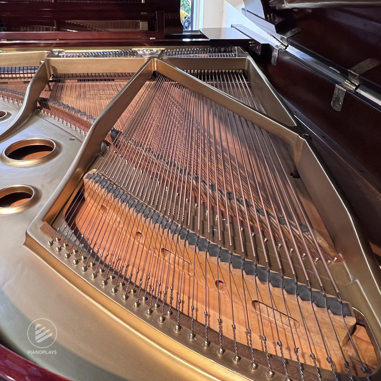 Yamaha G5 (Mahogany)