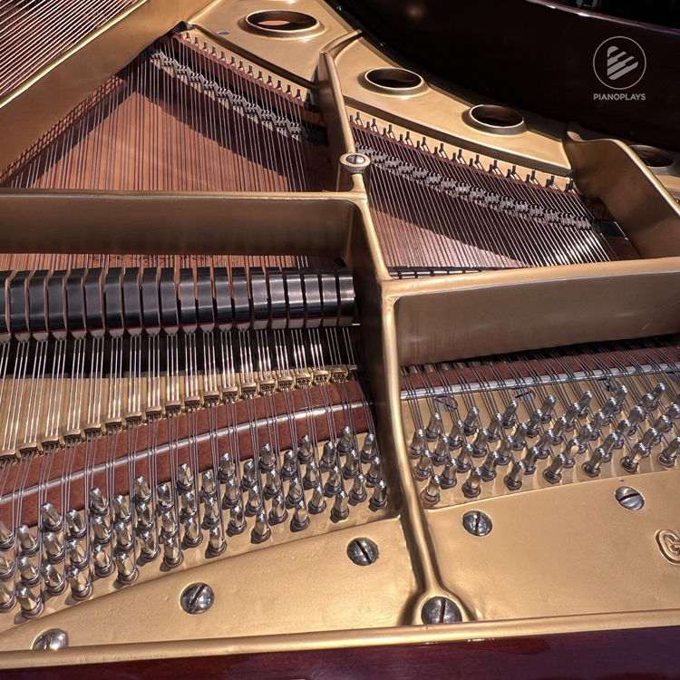 Yamaha G5 (Mahogany)