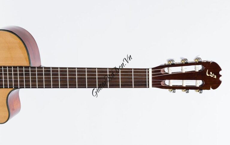 Đàn Guitar Ba Đờn C100J - Classic