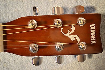 Đàn Guitar Yamaha F310 TBS - Acoustic