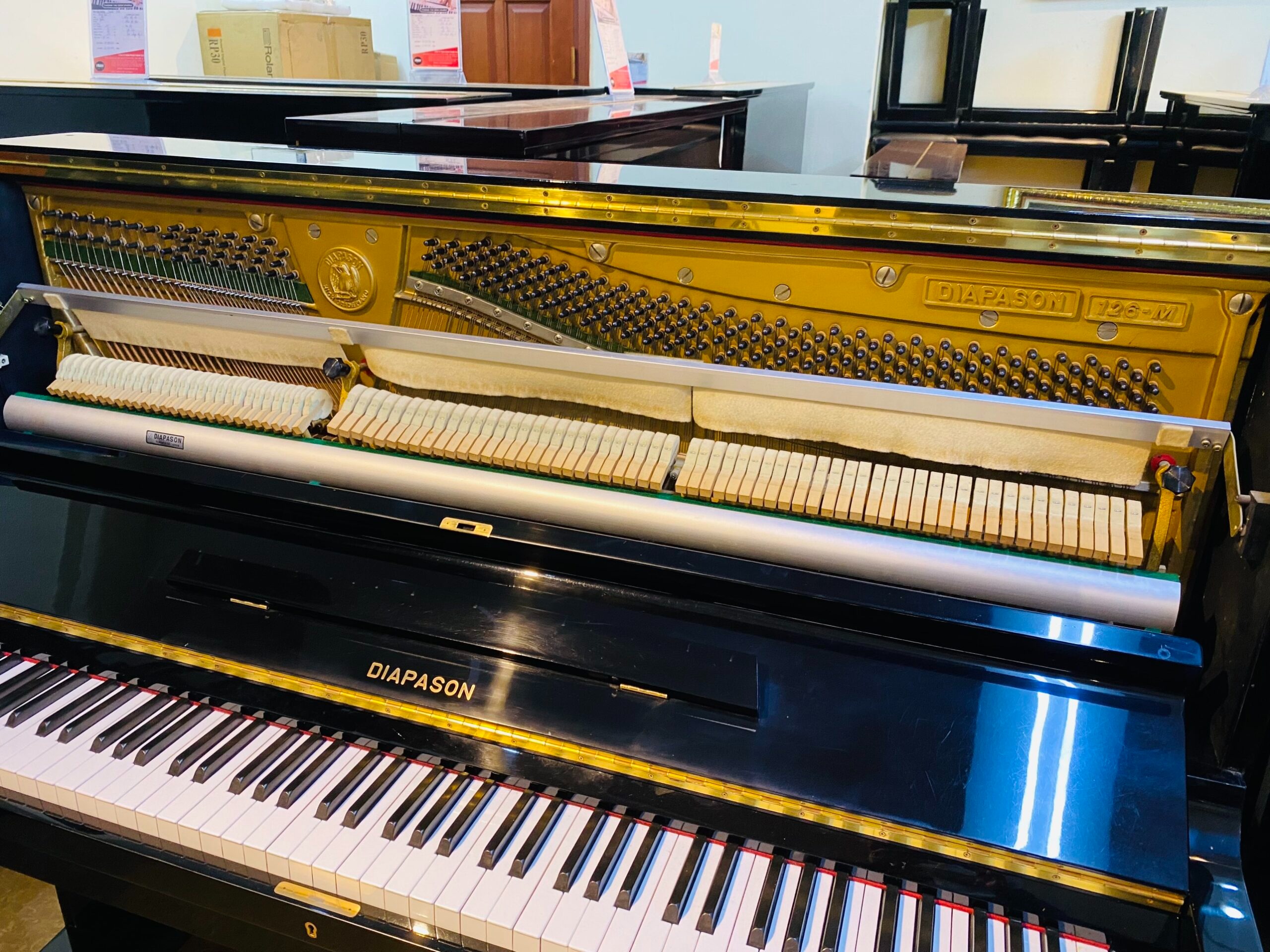 DIAPASON 126M