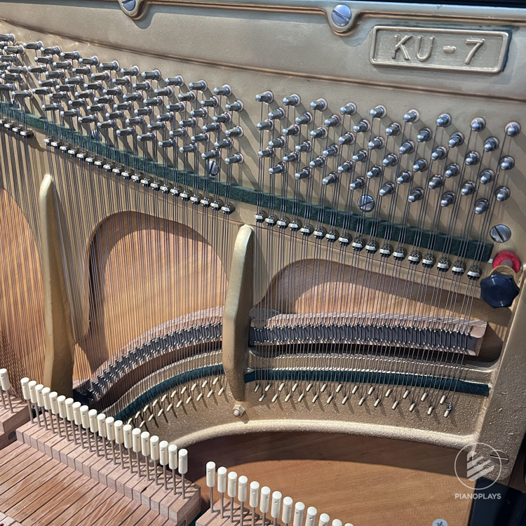 Kawai KU7