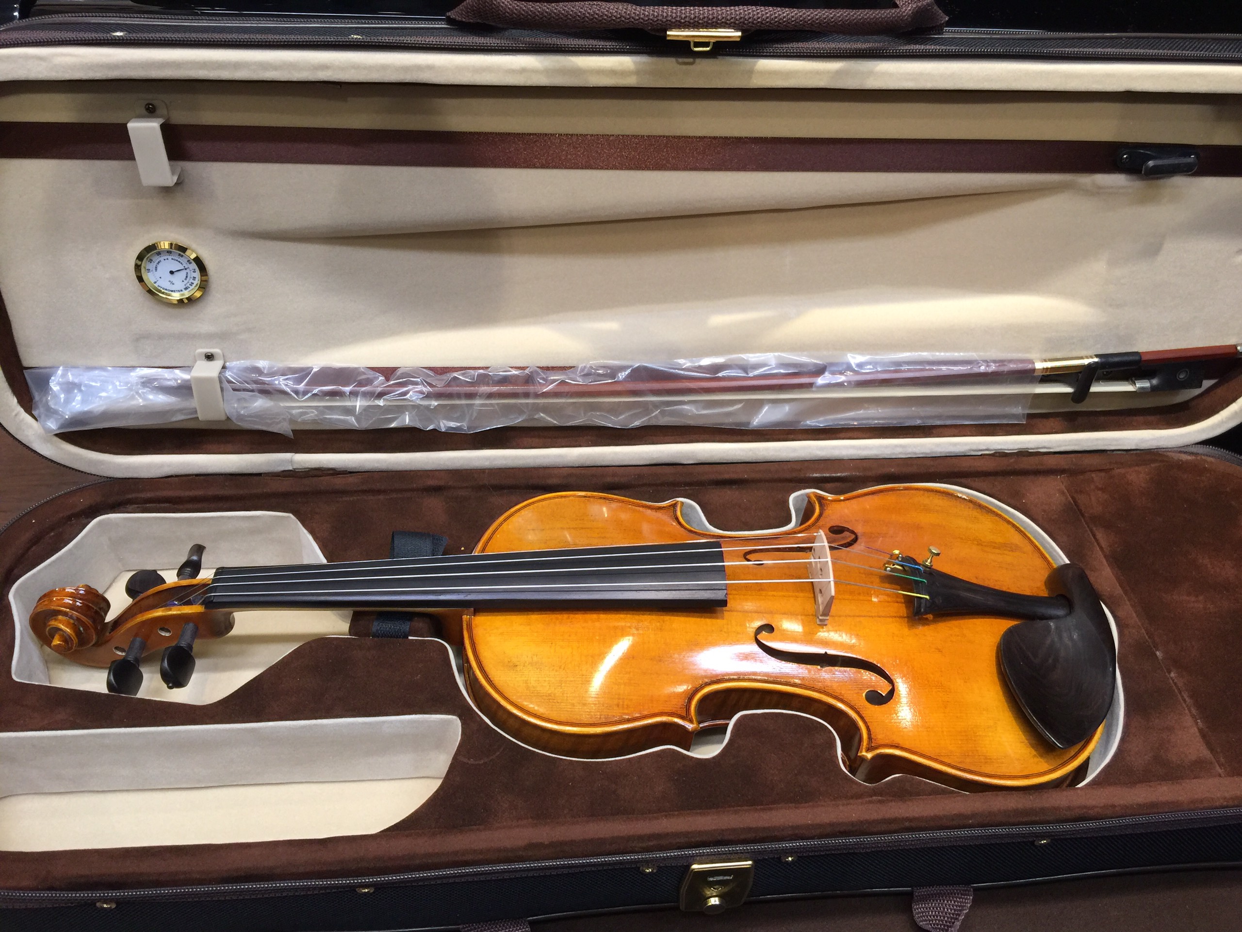 Violin VS800