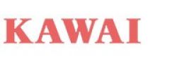 DIGITAL PIANO KAWAI (USED)