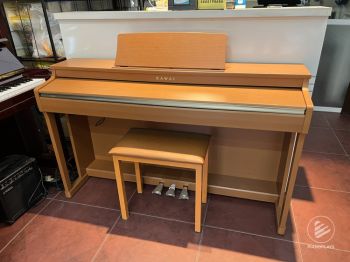 Kawai CN25