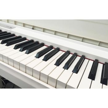 Đàn Piano Điện KORG LP-180 White (Used)