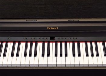 Roland RP-401