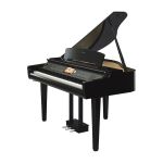 Yamaha CVP-809GP PE