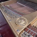 Yamaha G5 (Mahogany)