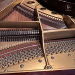 Yamaha G5 (Mahogany)