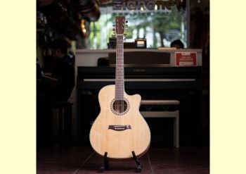 Đàn Guitar Takamine GD15C - Acoustic