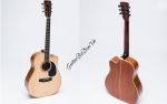 Đàn Guitar Ba Đờn J260 - Acoustic