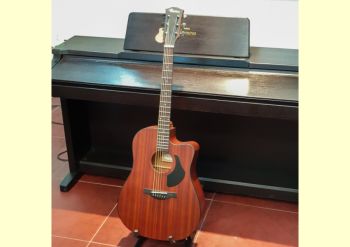 Đàn Guitar  Rosen G15 - Acoustic