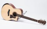 Đàn Guitar Ba Đờn T450 - Acoustic
