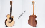 Đàn Guitar Ba Đờn T450 - Acoustic