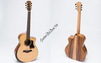 Đàn Guitar Ba Đờn T600 - Acoustic