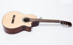 Đàn Guitar Ba Đờn C100J - Classic