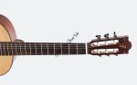 Đàn Guitar Ba Đờn C300 - Classic