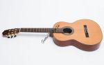 Đàn Guitar Ba Đờn C350Body - Classic