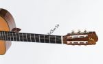 Đàn Guitar Ba Đờn C550D - Classic