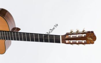 Đàn Guitar Ba Đờn C550D - Classic