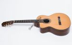 Đàn Guitar Ba Đờn C550D - Classic