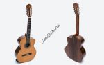 Đàn Guitar Ba Đờn C550D - Classic