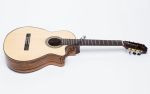 Đàn Guitar Ba Đờn C600J - Classic