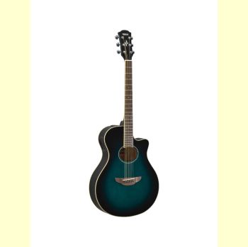 Đàn Guitar APX600 OBB - Acoustic