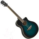Đàn Guitar APX600 OBB - Acoustic
