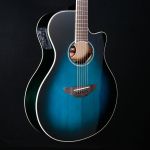 Đàn Guitar APX600 OBB - Acoustic