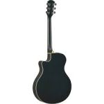 Đàn Guitar APX600 OBB - Acoustic