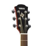 Đàn Guitar CPX600 ROOT BEER - Acoustic