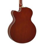 Đàn Guitar CPX600 ROOT BEER - Acoustic