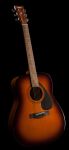 Đàn Guitar Yamaha F310 TBS - Acoustic