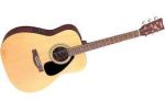 Đàn Guitar Yamaha FX310AII - Acoustic