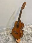 Đàn Guitar Yamaha CGS102A//02 - Classic