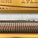ATLAS NA706