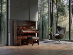 C8 (C.Bechstein Concert)