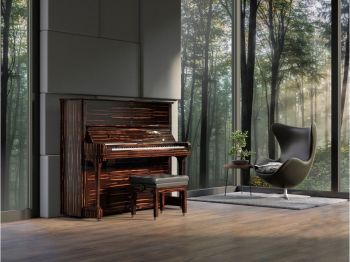 C8 (C.Bechstein Concert)