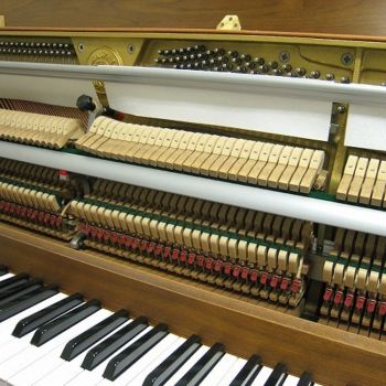 Kawai CL5