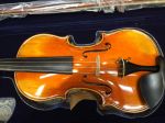 Violin VS200