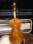 Violin VS800